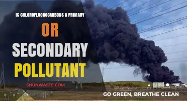 Chlorofluorocarbons: Primary or Secondary Pollutant?