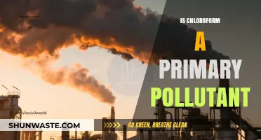 Chloroform: Primary Pollutant or Not?