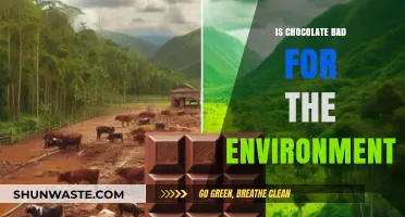Chocolate's Environmental Impact: Unwrapping the Bitter Truth Behind Sweet Indulgence