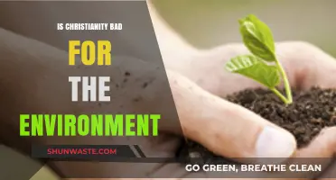Christianity and Ecology: Examining Faith's Environmental Impact and Responsibility