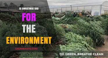 Is Christmas Eco-Friendly? Unwrapping the Environmental Impact of the Holidays