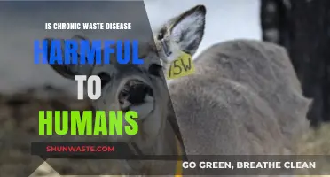Chronic Wasting Disease: Potential Risks and Human Health Concerns