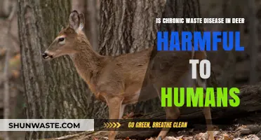 Chronic Wasting Disease in Deer: Human Health Risks Explained