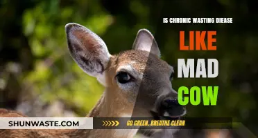 Chronic Wasting Disease vs. Mad Cow: Unraveling the Similarities and Differences