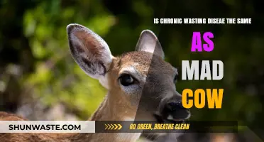 Chronic Wasting Disease vs. Mad Cow: Understanding the Key Differences
