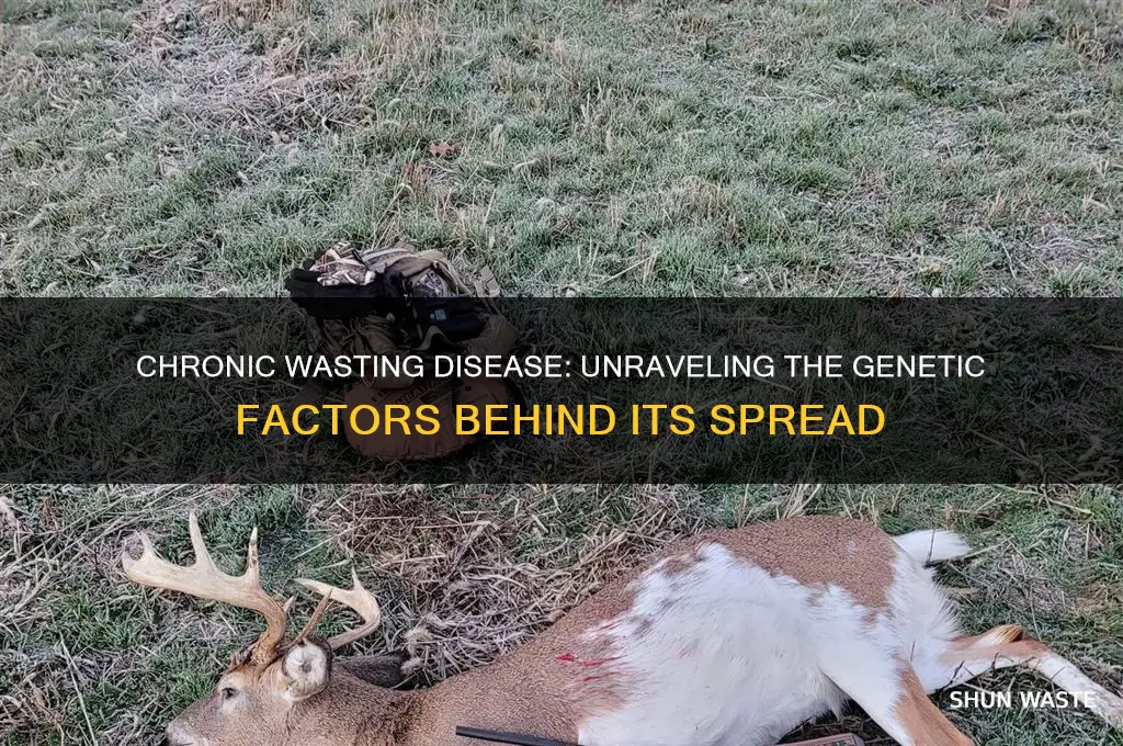 is chronic wasting disease a genetic disease