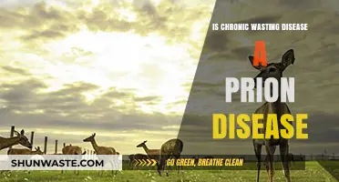 Chronic Wasting Disease: Understanding Its Link to Prion Disorders