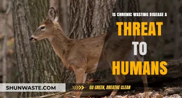 Chronic Wasting Disease: Unraveling the Human Health Threat Potential