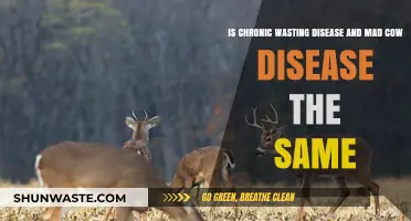 Chronic Wasting vs. Mad Cow Disease: Understanding the Key Differences