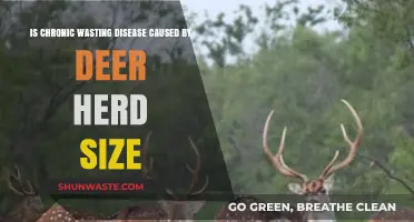 Does Deer Herd Size Influence Chronic Wasting Disease Spread?