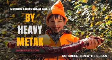 Chronic Wasting Disease: Heavy Metal Link or Misleading Myth?
