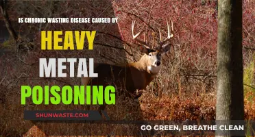 Chronic Wasting Disease: Link to Heavy Metal Poisoning Explored