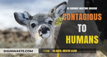 Chronic Wasting Disease: Human Contagion Risk Explained