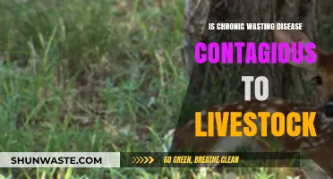 Chronic Wasting Disease: Contagious Threat to Livestock or Not?