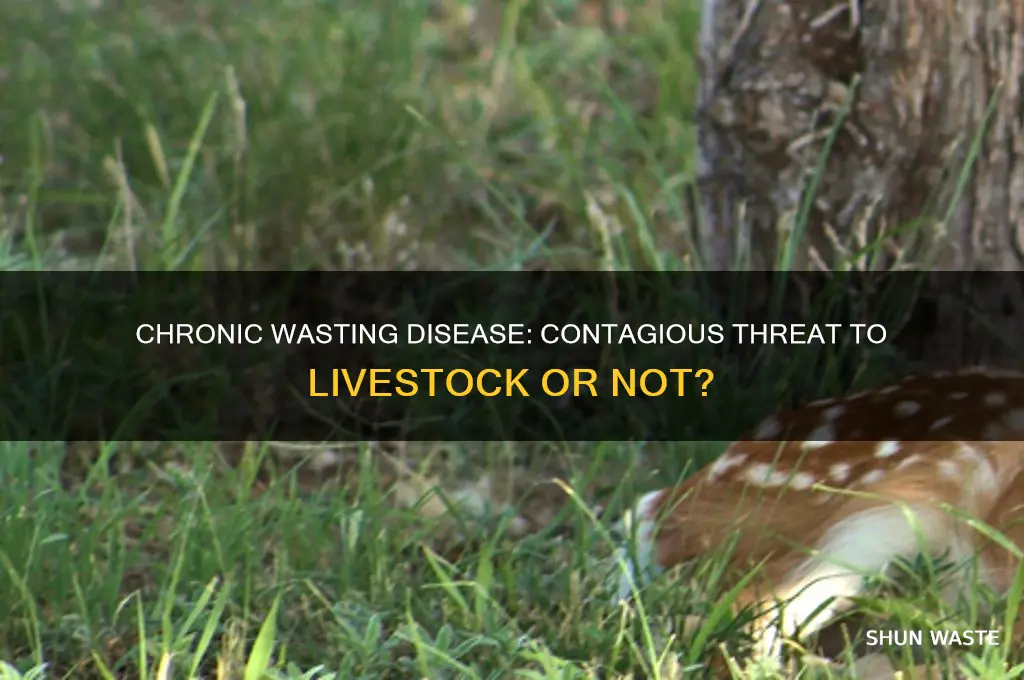 is chronic wasting disease contagious to livestock