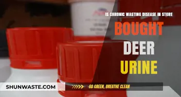 Chronic Wasting Disease: Is Store-Bought Deer Urine a Hidden Risk?