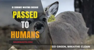 Can Chronic Wasting Disease Infect Humans? Facts and Risks Explained