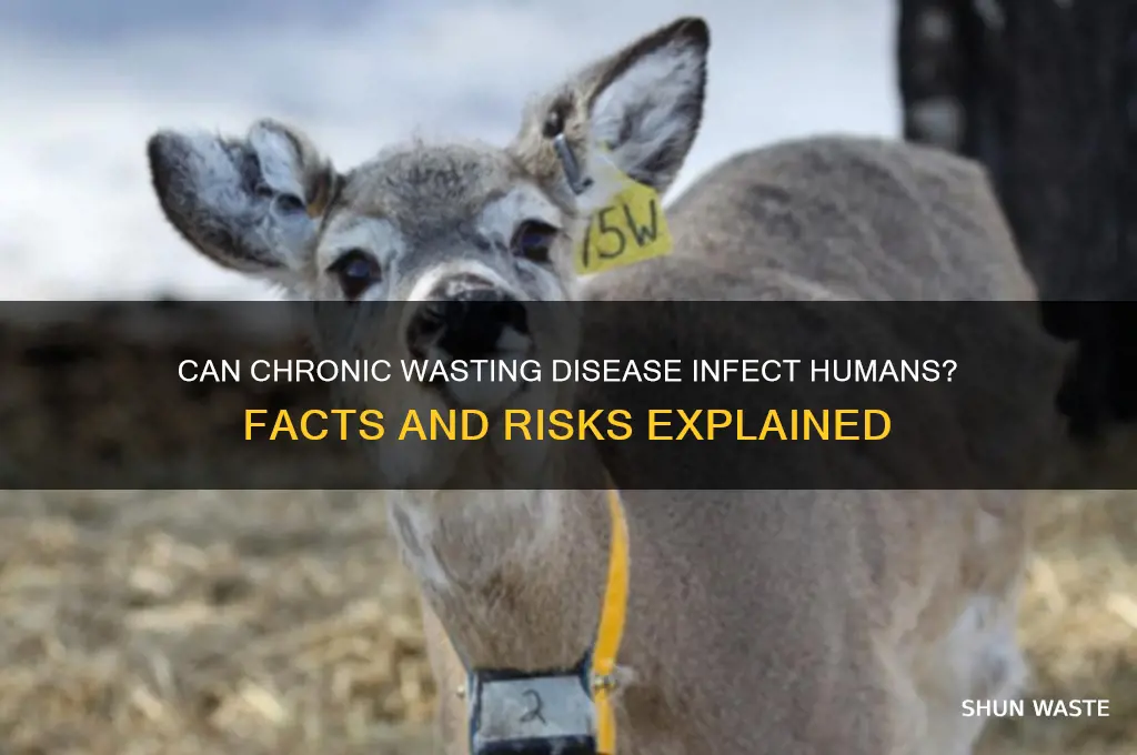 is chronic wasting disease passed to humans