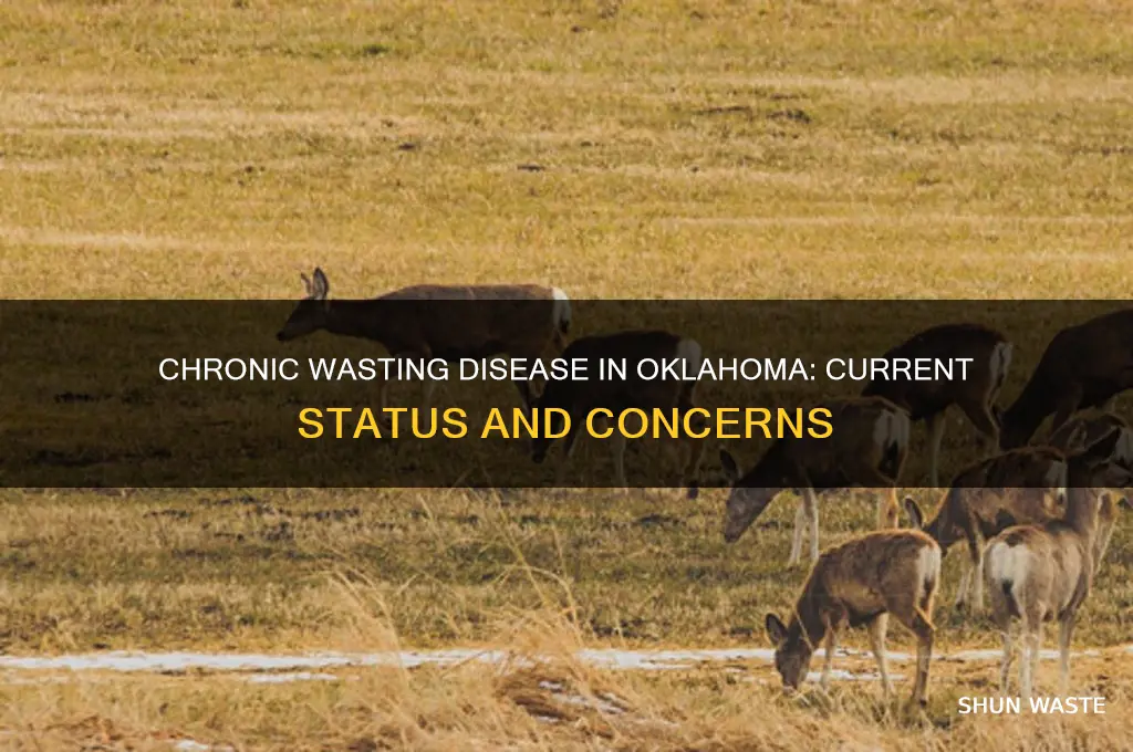 is chronic wasting disease present in oklahoma
