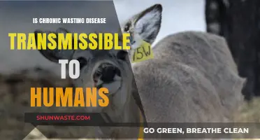 Can Chronic Wasting Disease Spread to Humans? What We Know