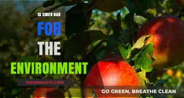 Cider's Environmental Impact: Sustainable Choice or Eco-Friendly Myth?