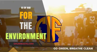 Is CIF Environmentally Harmful? Exploring Its Ecological Impact and Alternatives