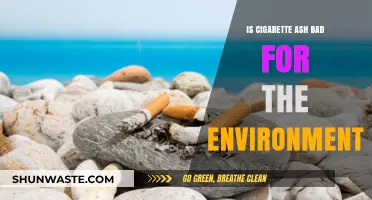 Cigarette Ash Pollution: Environmental Impact and Sustainable Disposal Solutions