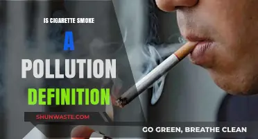 Cigarette Smoke: Pollution or Not?