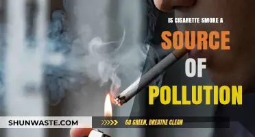 Cigarette Smoke: A Lethal Pollutant?