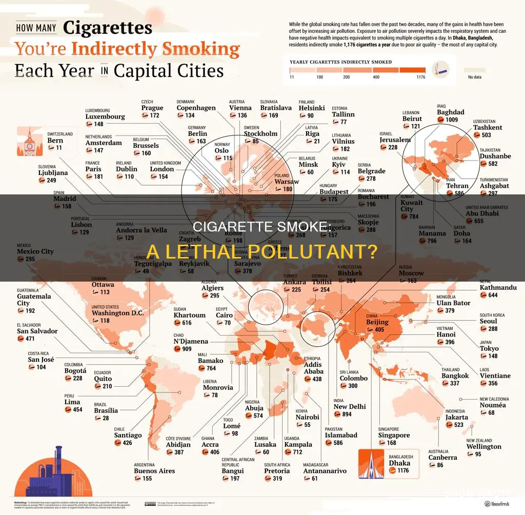 is cigarette smoke a source of pollution