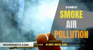 Cigarette Smoke: Air Pollution or Not?