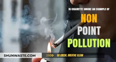 Cigarette Butts: Non-Point Source Pollution?