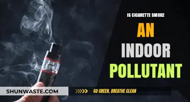 Cigarette Smoke: Indoor Pollutant or Not?