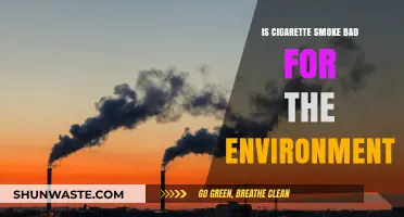 Cigarette Smoke's Environmental Impact: Pollution, Waste, and Ecosystem Harm