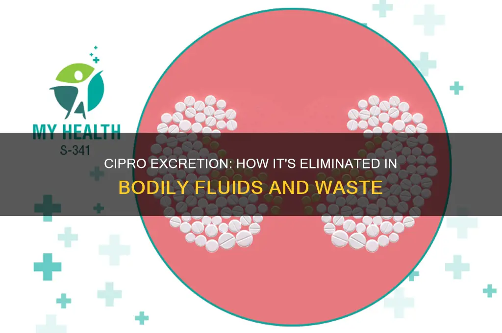 is cipro excreated in bodily fluids and waste