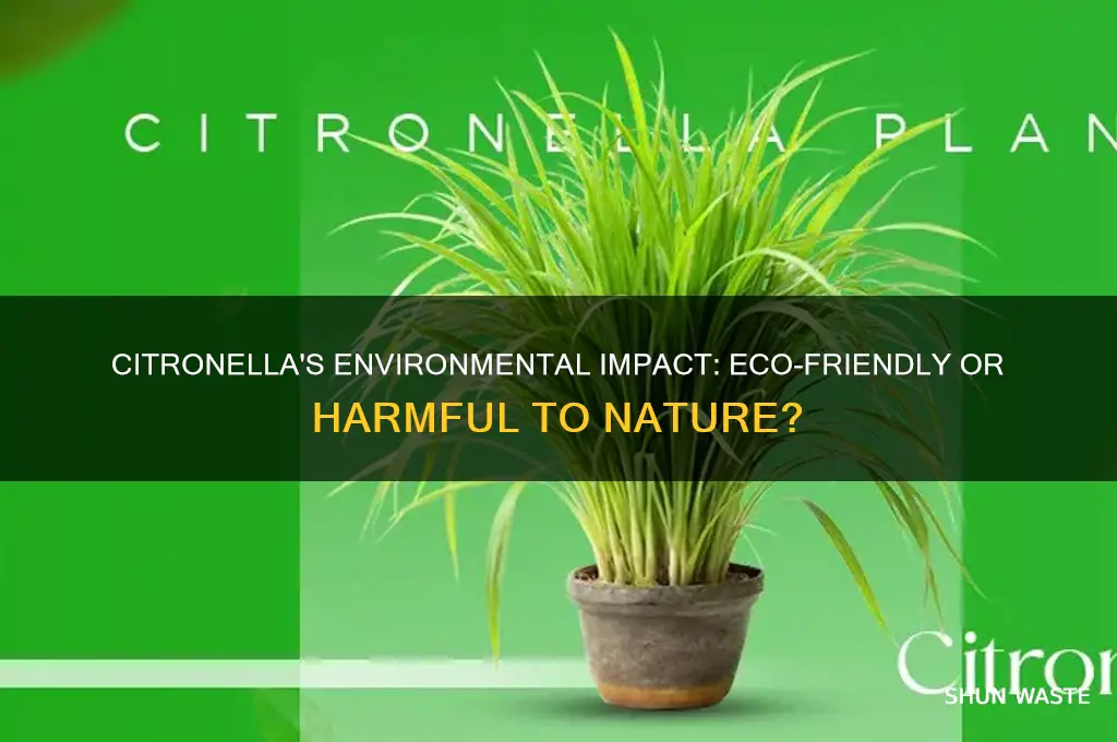 is citronella bad for the environment