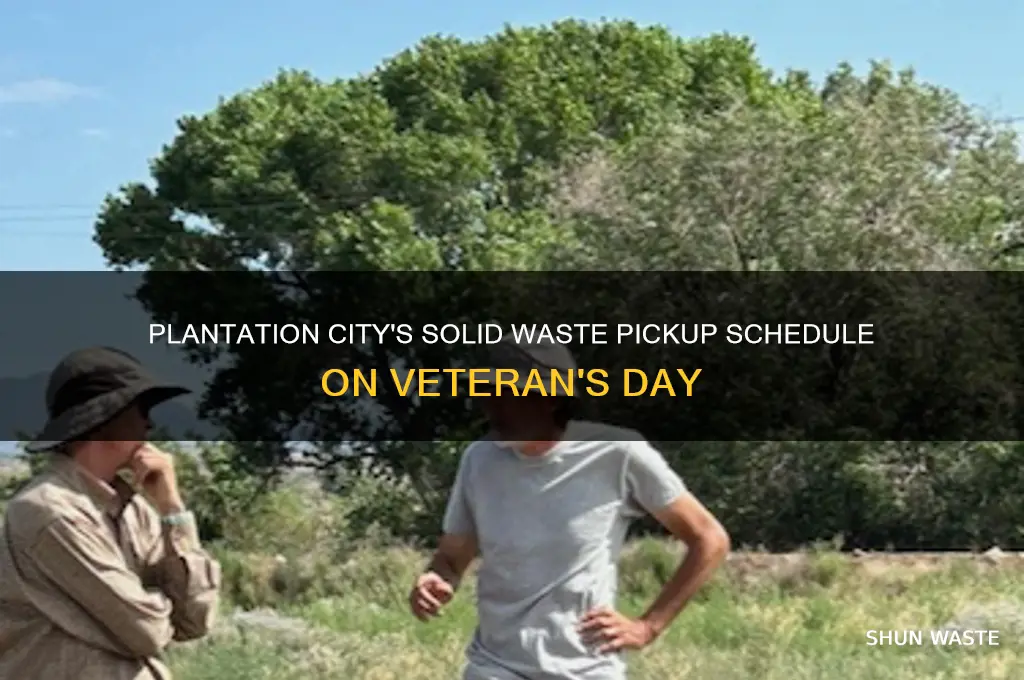 is city of plantation solid waste pickup on veteran