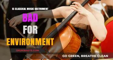 Classical Instruments' Environmental Impact: Harmful or Sustainable?