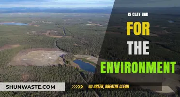 Is Clay Eco-Friendly? Environmental Impact of Clay Explained