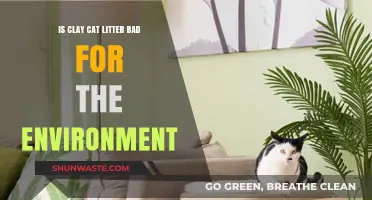 Clay Cat Litter: Environmental Impact and Sustainable Alternatives