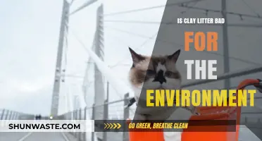 Clay Cat Litter's Environmental Impact: Sustainable or Harmful Choice?