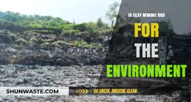 Environmental Impact of Clay Mining: Sustainable Practices or Ecological Threat?