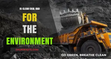 Clean Coal's Environmental Impact: Myth or Reality?