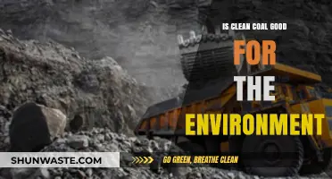 Clean Coal: Environmental Savior or Misleading Climate Solution?