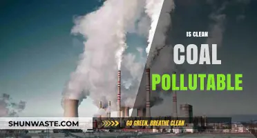 Clean Coal: Myth or Reality?