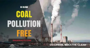 Clean Coal: Pollution-Free Power or Pipe Dream?
