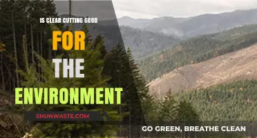 Clear Cutting: Environmental Benefit or Ecological Disaster?