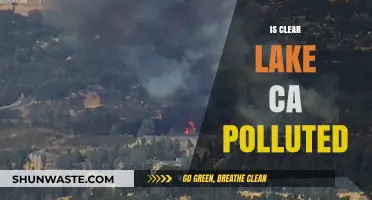 Clear Lake, CA: A Polluted Paradise?