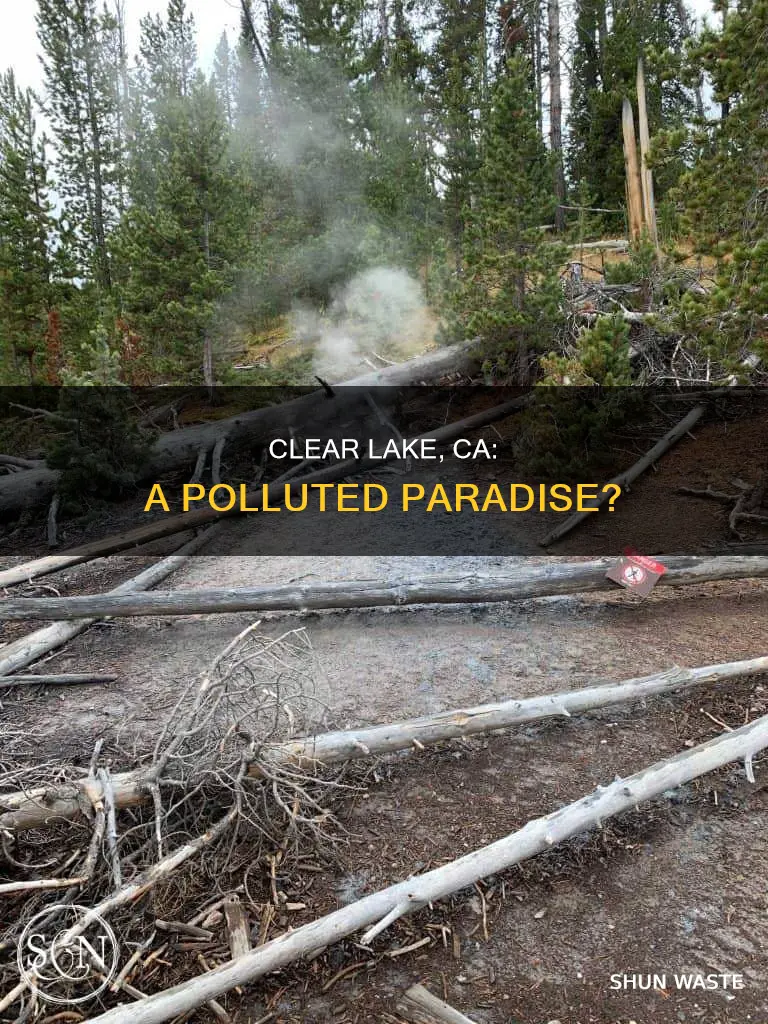 is clear lake ca polluted