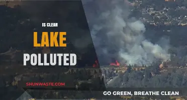 Clear Lake's Pollution Problem: Is It Getting Worse?